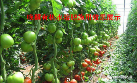 20200514105512_34149 首页| 918博天堂集团中国官方网站