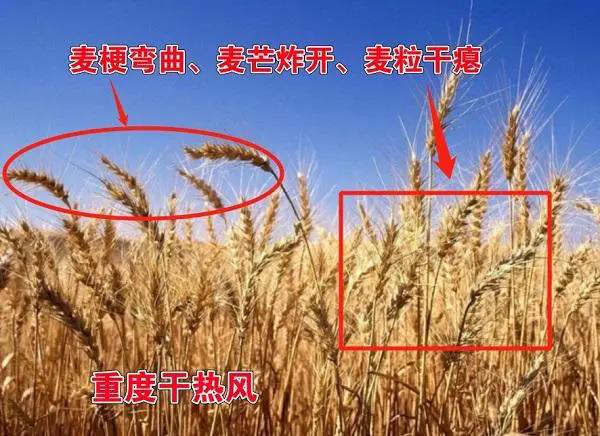 首页| 918博天堂集团中国官方网站