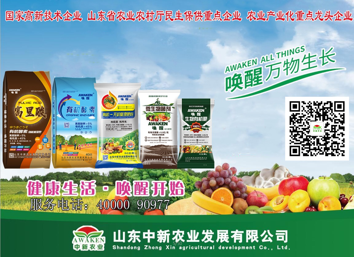 首页| 918博天堂集团中国官方网站